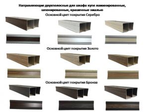 Направляющие двухполосные для шкафа купе ламинированные, шпонированные, крашенные эмалью Новошахтинск